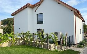 Stara Vinice Velke Zernoseky 93