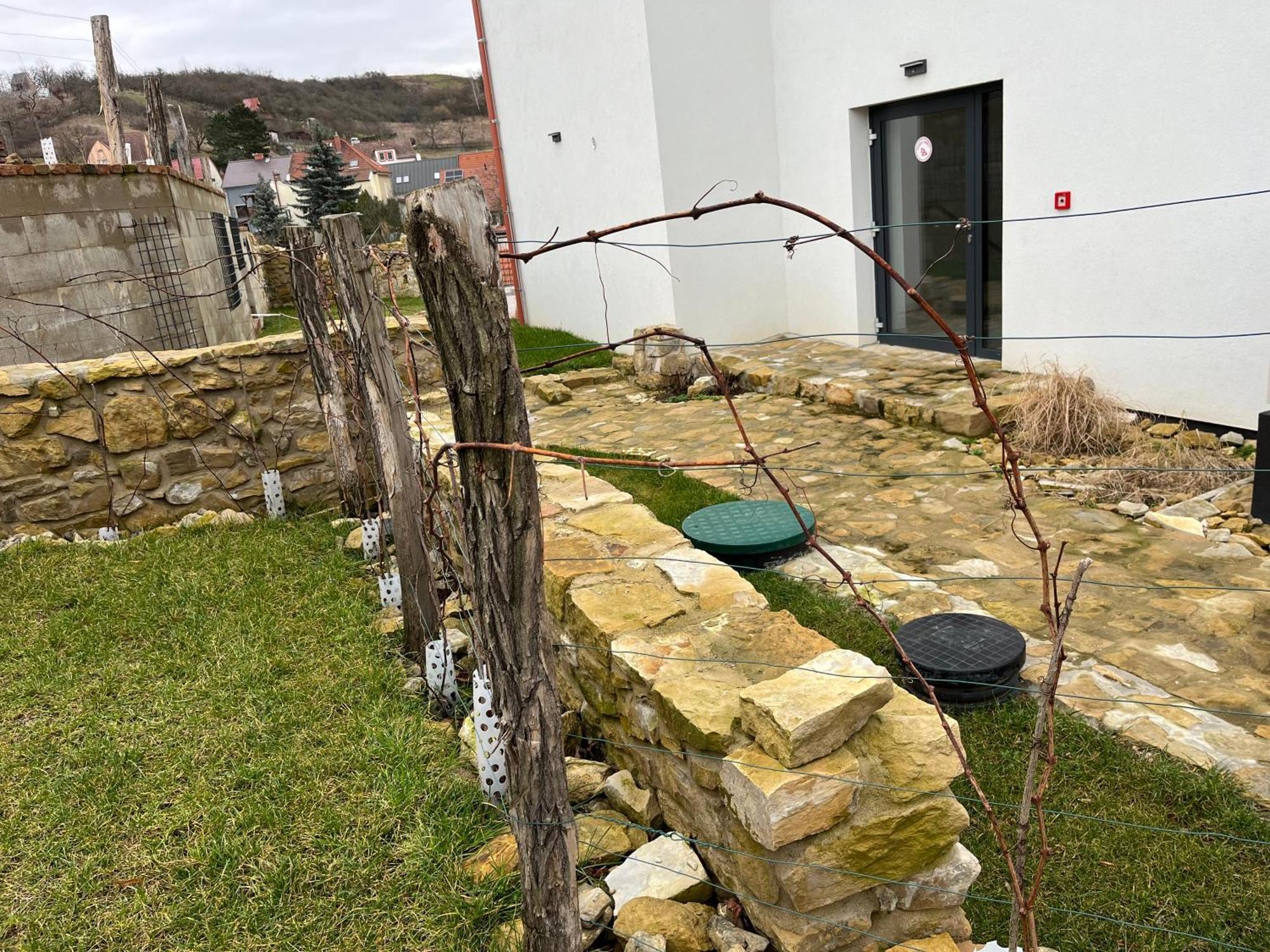 Stara Vinice Velke Zernoseky 93 Exteriér fotografie